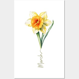 Daffodil - Birth Month Flower for March Posters and Art